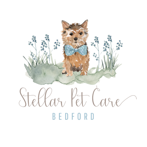 Stellar Pet Care Bedford nova scotia dog walking business